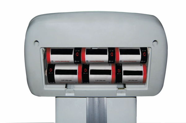 Весы CAS DL-60 купить по низкой цене | МАКСПРОФИТ